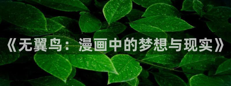包子漫画免费漫画入口页面无广告：《无翼鸟：漫画中的梦想与现实》