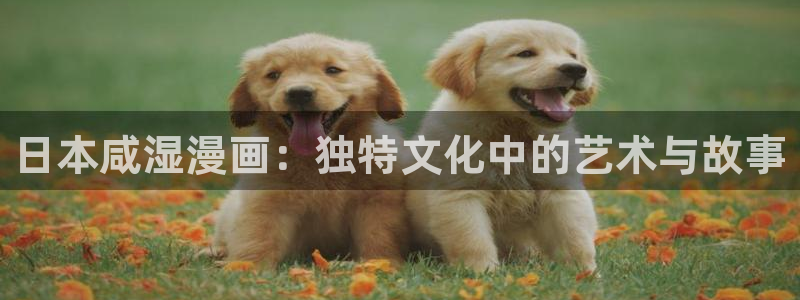 我可不跟你去苞米地包子漫画免费漫画：日本咸湿漫画：独特文化中的艺术与故事